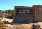 Thanksgiving Weekend Draws Record Visitors to Joshua Tree National Park