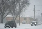 Iowa Winter Storm: Latest Snowfall Totals Revealed