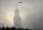 Freezing Fog in Chicago Causes Treacherous Morning Commute