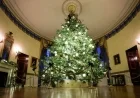 White House Christmas Decorations 2025: Melania Trump Unveils “Home Is Where the Heart Is”