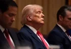 Trump Appears Sleepy in Cabinet Meeting, Eyes Closing Repeatedly