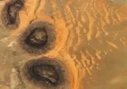 Rare Sahara Sand Dunes Emerge from Paleozoic ‘Black Mesas’ Seen from Space