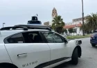 Waymo Vehicle Strikes Dog in San Francisco After Earlier Cat Incident