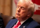 Donald Trump, 79, Spotted Nodding Off During Cabinet Meeting