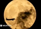Spot December’s Last 2025 Supermoon: Cold Moon Viewing Guide