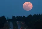 December Supermoon Reaches Peak This Week: Key Details