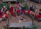 I’m A Celeb Star Angrily Removes Mic After Bottom Two Placement Off-Air