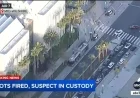 Woman Arrested for Allegedly Firing Gun Outside LA County Museum of Art