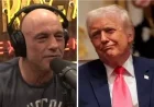 Joe Rogan Reveals Trump’s Unusual Texting Habits