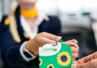 Lufthansa Highlights Hidden Disabilities with Sunflower Program Initiative