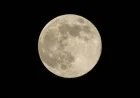 What is a “Supermoon,” the Phenomenon That Shone Brightly Last Night?