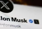 Elon Musk’s X Fined €120 Million for Misleading Blue Ticks