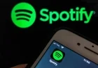 Why Your Spotify Wrapped Might Not Interest Everyone