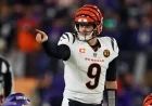 NFL Week 14: Key Bengals-Bills Matchups and Game Predictions