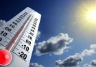Egypt Alerts on Temperature Plunge, Fog, and Rainfall Conditions