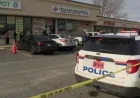 Two Killed in Stabbing at Bethpage Italian Deli, N.Y.