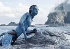 James Cameron Shares Challenging Avatar: Way of Water Scene Details