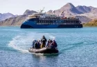 Northwest Passage Expedition Cruise Turns Into Unexpected Adventure