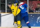 Sweden Unveils Roster for World Junior Hockey Championship
