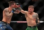 UFC 323: Marvin Vettori vs. Brunno Ferreira Prediction and Pick
