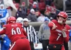 Louisville Football: Expert Predictions for Upcoming Bowl Game