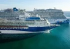 Cruise Ship Footage Triggers Intense Online Debate on Safety Concerns