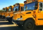 Local Schools Delay Openings Due to Winter Weather Conditions