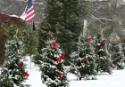 Will Georgia Enjoy a White Christmas? Long-Range Snow Forecast Revealed