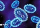 New Mpox Strain Discovered in England