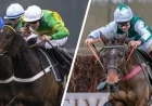 Top Horses to Watch at Cheltenham: Festival Winner, Five-Timer Hunter & More