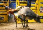2025 NFR Las Vegas: 4th Go-Round Results from National Finals Rodeo