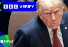 BBC Verify: Fact-Checks Trump on ‘No Problem’ Boat Strike Video Claim