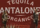 Craft Santa Pants Cocktail with Pantalones Tequila: A Festive Guide