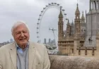 David Attenborough Unveils Fascinating Insights into London’s Urban Wildlife