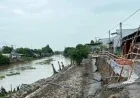 An Giang Erosion: 106 Incidents Cause 12 Billion Dong in Damages