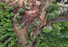 Landslide Shuts Down Highway 229 Near Lincoln City, Reports ODOT