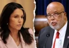 Gabbard Criticizes Thompson’s ‘Unfortunate Accident’ Remark on Guard Shooting