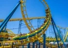 Wild Waves Theme Park in Washington to Close in 2026