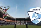 Harlequins vs Bayonne: Champions Cup Live Broadcast Time and Channel