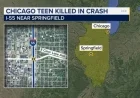 Chicago Girl Dies in I-55 Sangamon County Crash Near Springfield, Illinois