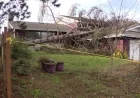 Strong Winds in Western Washington Cause Tree to Fall on Everett House