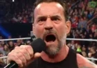 CM Punk Criticizes Steiner Brothers Following AJ Lee Mention on WWE RAW
