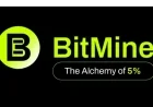 BitMine Immersion Reveals 3.97M ETH and $13.3B in Crypto Holdings