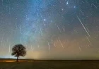 Watch the Year’s Final Ursids Meteor Shower: Viewing Guide