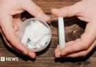 Study Finds Young Men Drive Surge in Nicotine Pouch Use