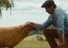 “Watch the Official Trailer for The Sheep Detectives”