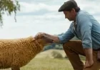 Chernobyl and GOT Stars Unite in Intriguing Sheep Detective Trailer