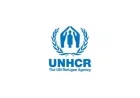 UN Refugee Agency (UNHCR) Strengthens Global Efforts