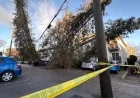 Powerful Storm Leaves Thousands Without Power in B.C.
