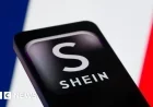 French Court Denies Shein Website Ban Over Childlike Dolls Issue